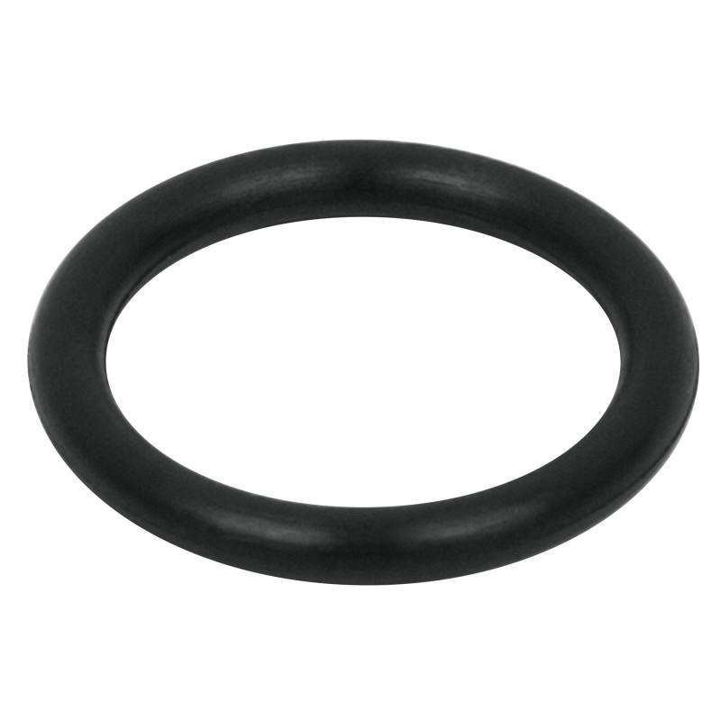 O Ring Tapón para Fumigadora FM-425