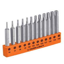 Juego de 12 Puntas Torx con Seguro Largo 2" Expert